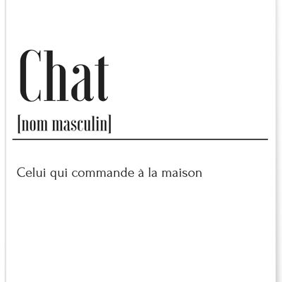 Affiche Définition Chat