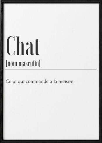 Affiche Définition Chat 3