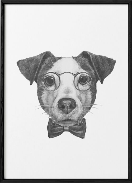 Affiche Jack Russell