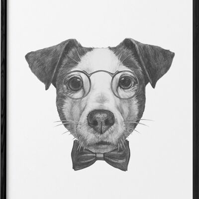 Affiche Jack Russell