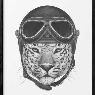 Leopard poster