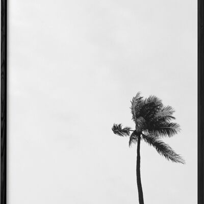 Póster de palmera en blanco y negro