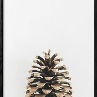 Pine cone poster
