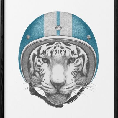 Tigre blanco Póster