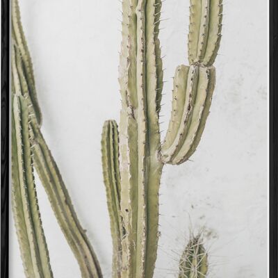 Cartel de naturaleza de cactus
