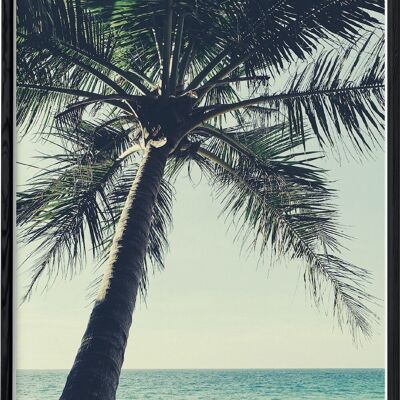 Cartel de naturaleza de playa de palmeras.