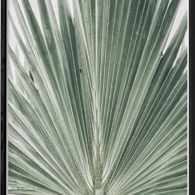 Palm Leaf Nature Poster