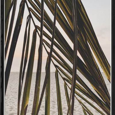 Playa de hoja de palma natural Póster
