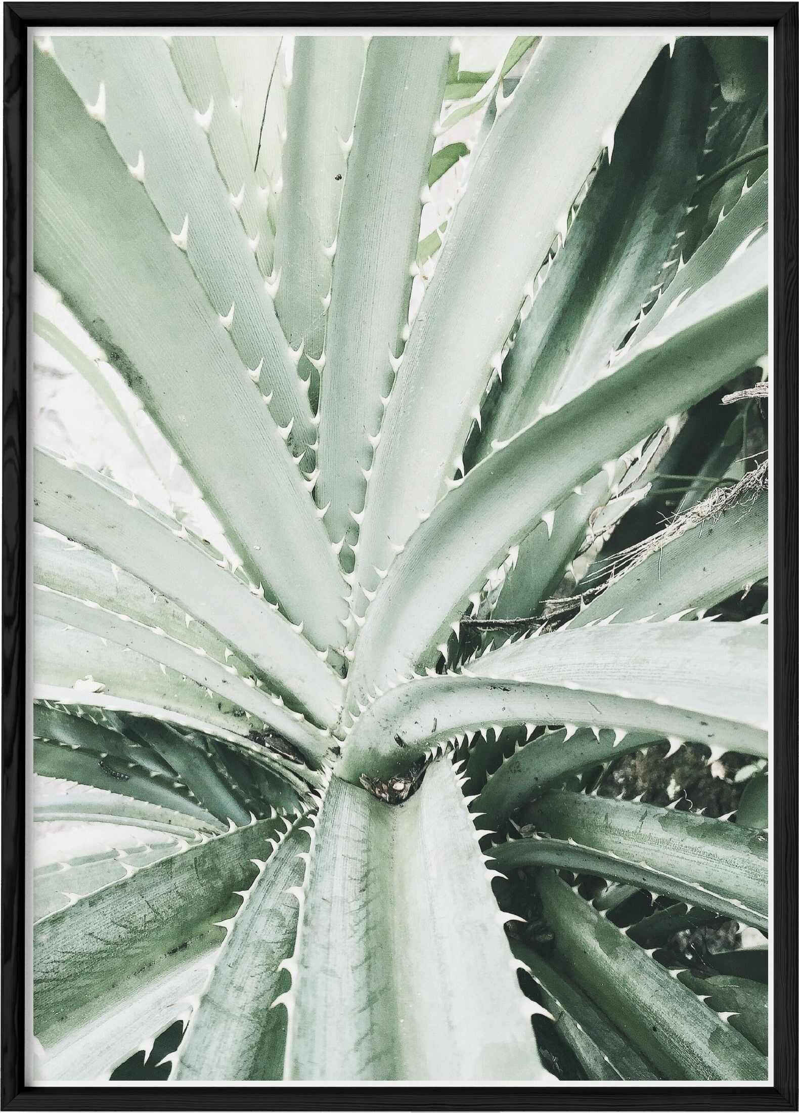 Green Nature poster n°4