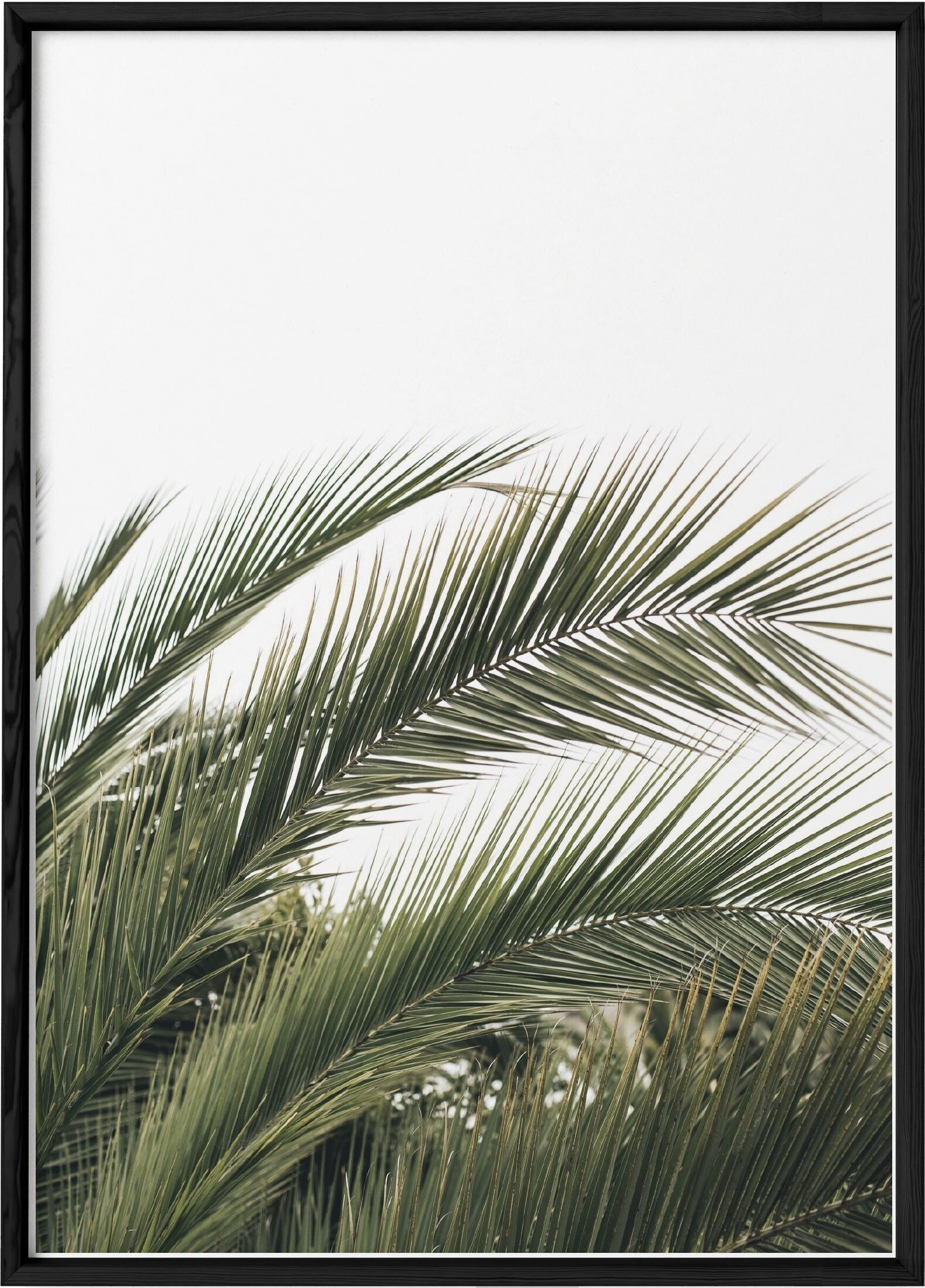 Manifesto della natura verde n°3