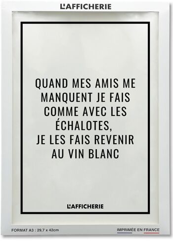 Affiche : Quand mes amis me manquent - humour 2