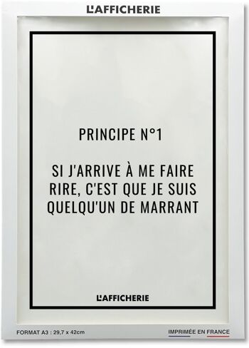 Affiche Principe n°1 - humour 2