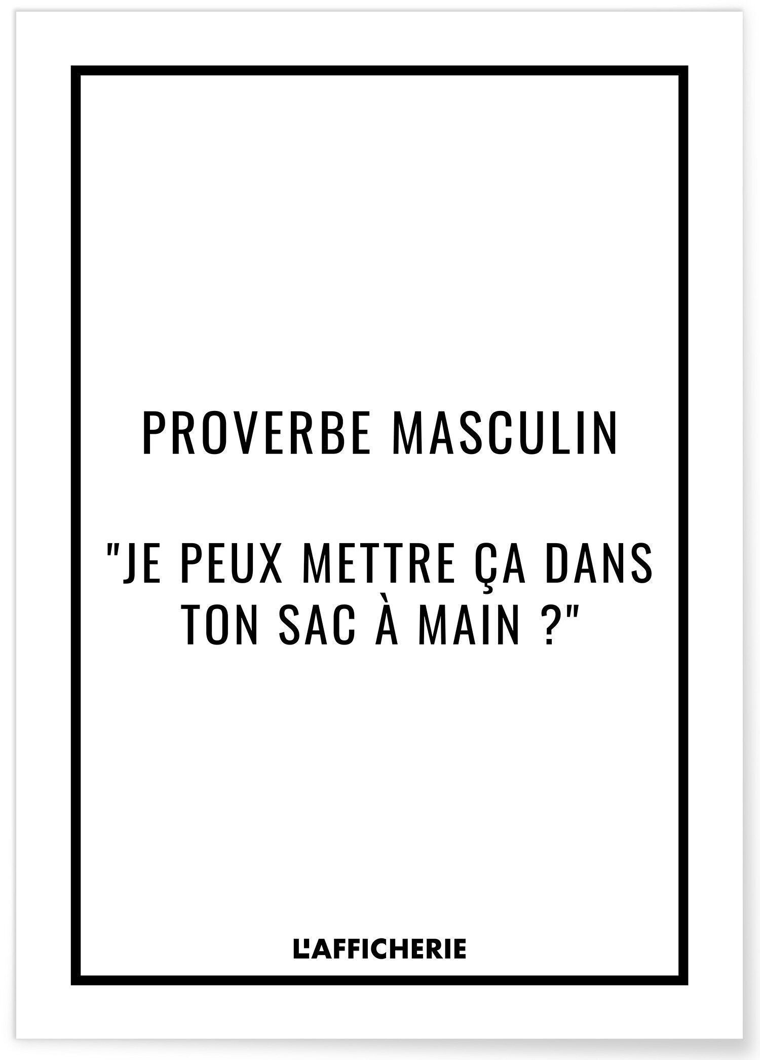 Manifesto proverbio maschile - umorismo