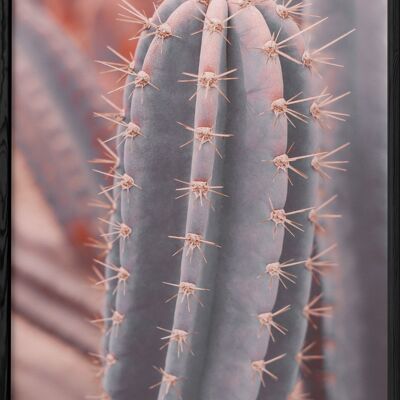 Poster di cactus Saguaro