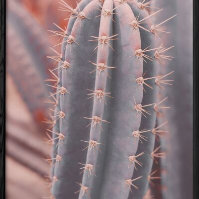 Saguaro Cactus Poster