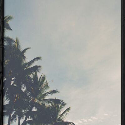 Tropical Palm Poster