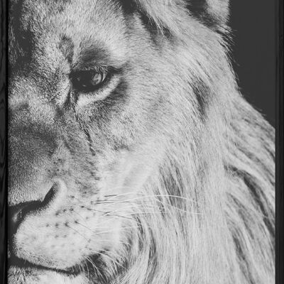Poster del leone in bianco e nero 1