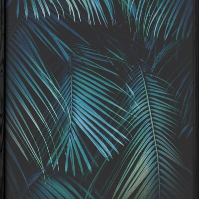 Hojas de palma tropical verde Póster