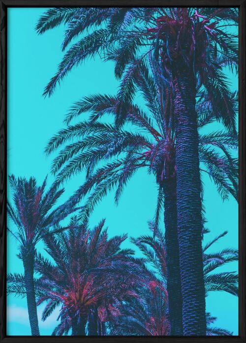 Affiche Palm Trees 4