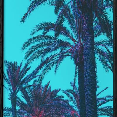 Poster Palm Trees 4