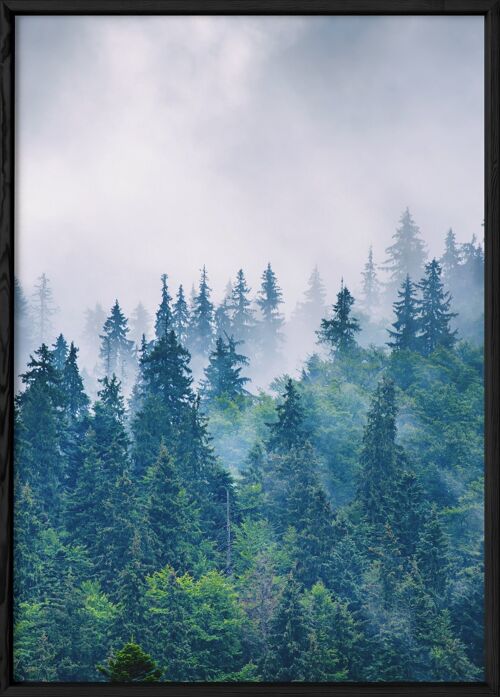 Affiche Nature Paysage Montagne Brumeuse