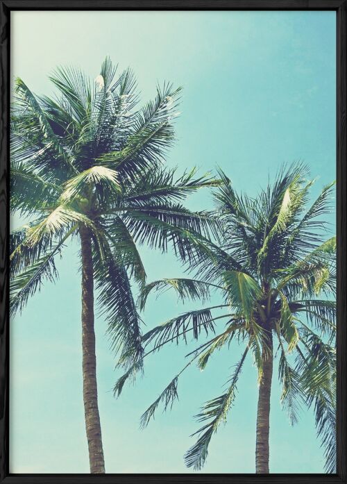 Affiche Palm Trees 2