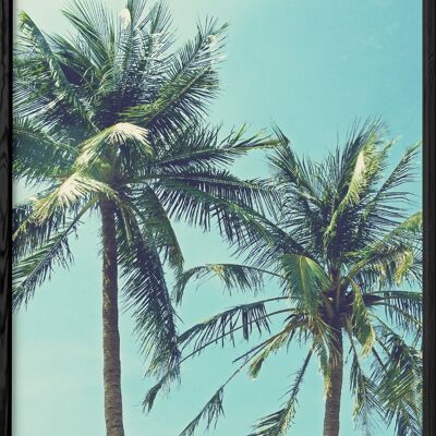 Poster Palm Trees 2