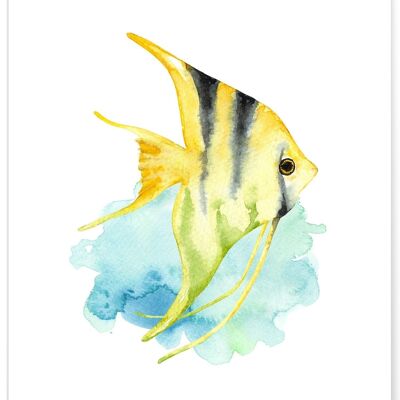 Poster di pesce bambino