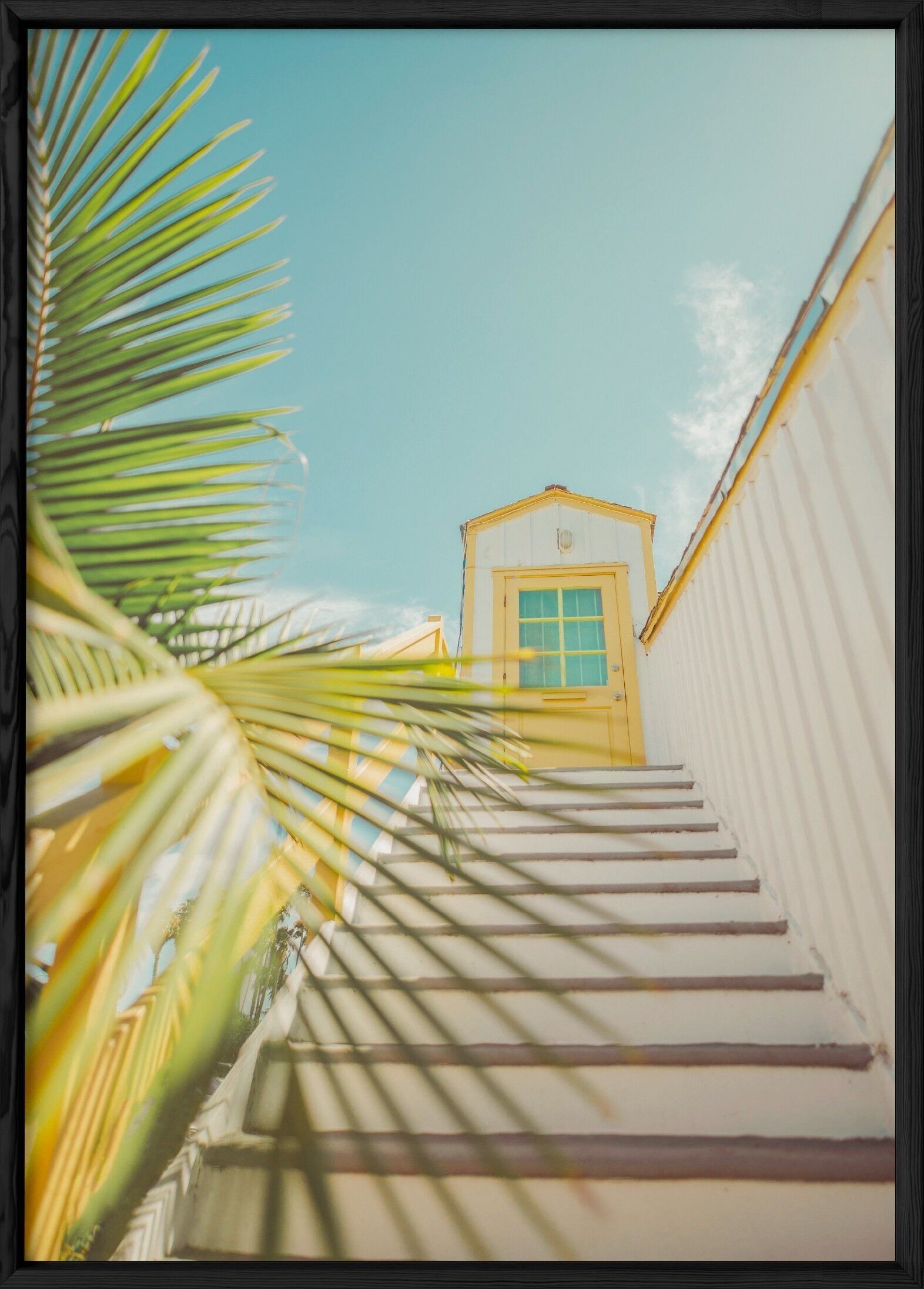 Manifesto delle scale