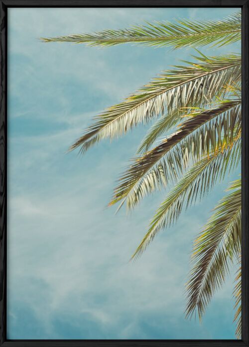 Affiche Palm Trees 4