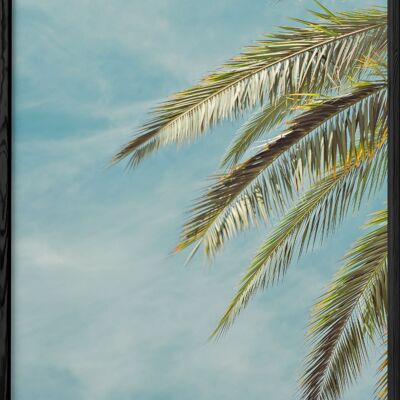 Poster Palm Trees 4