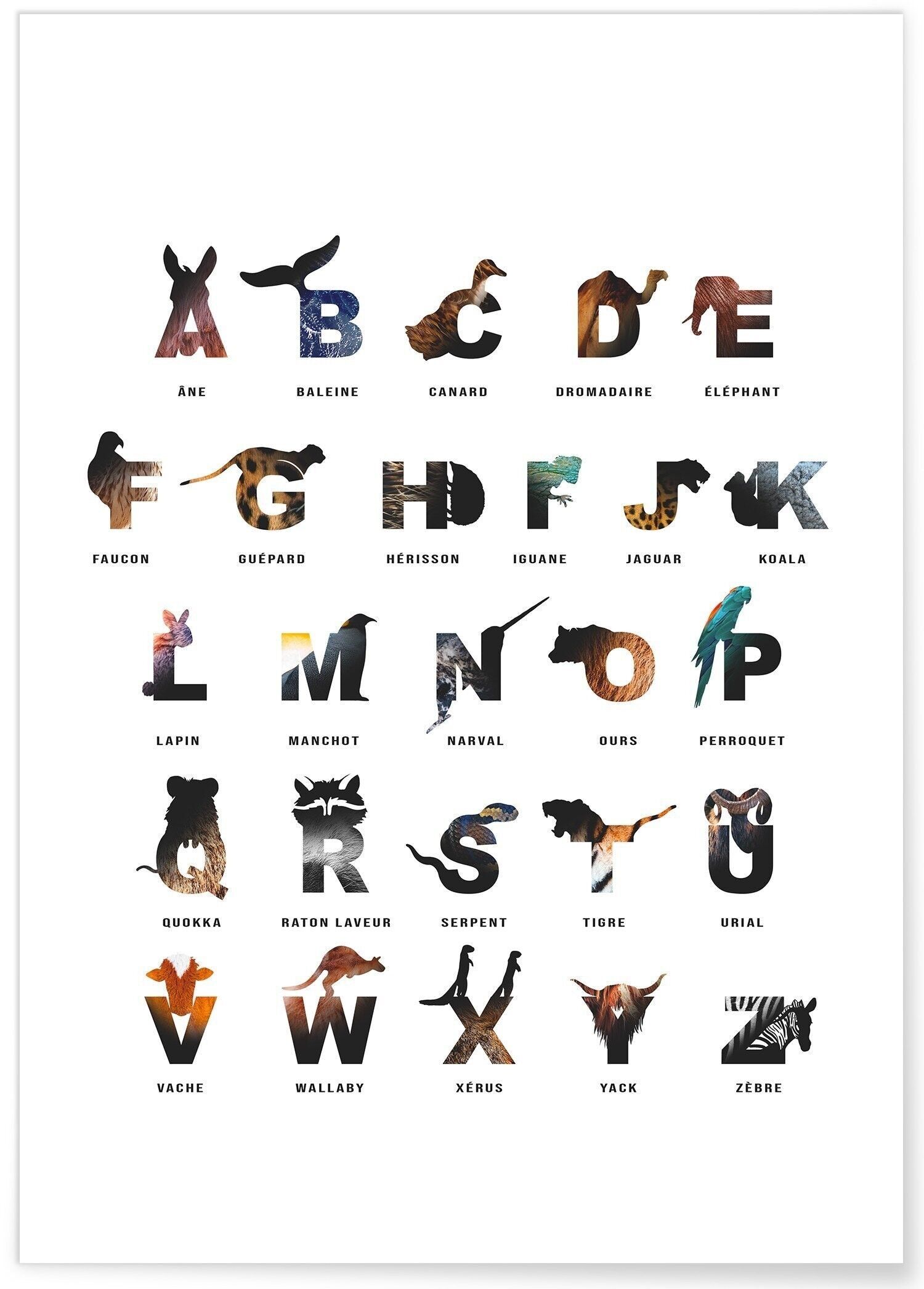 Alphabet-Poster für Kinder