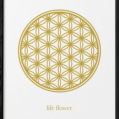 Flower of life poster