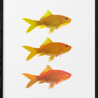 Fish poster
