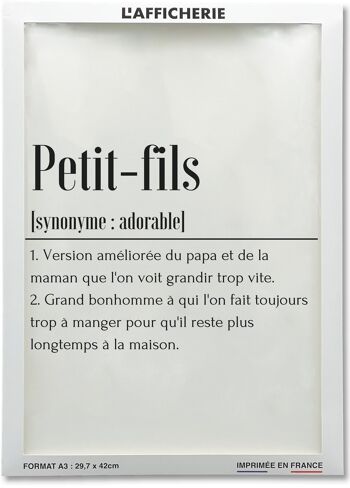 Affiche Définition Petit-fils 2