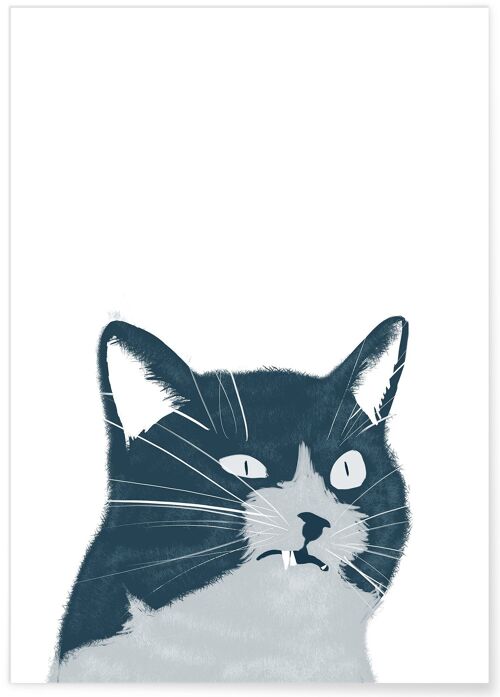 Affiche Chat