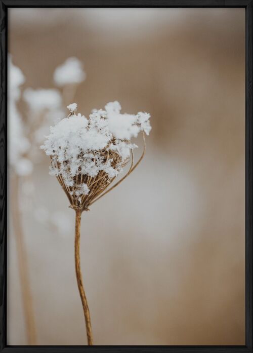 Affiche Nature Winter