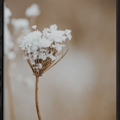 Winter-Natur-Plakat