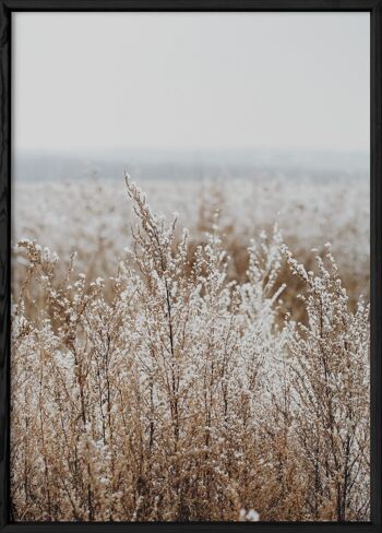 Affiche Nature Winter 2