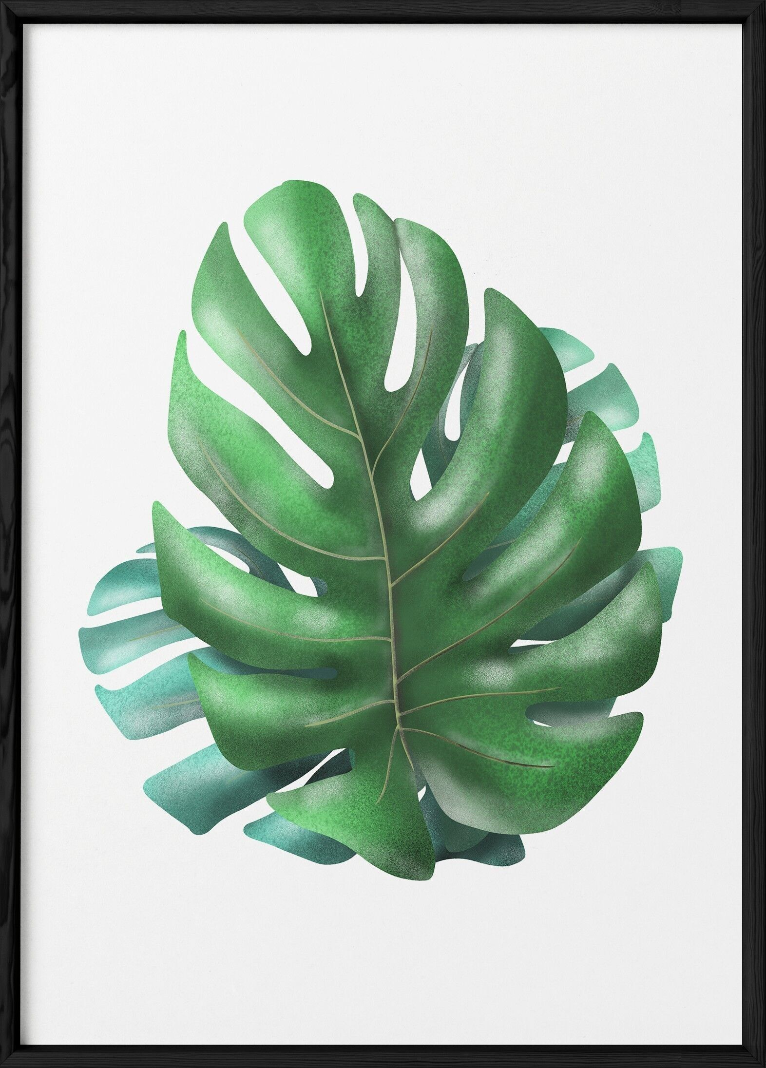 Poster di cactus Monstera