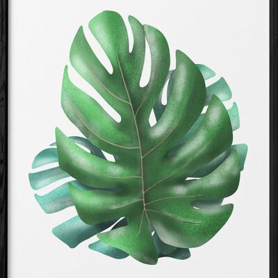 Monstera-Kaktus-Poster