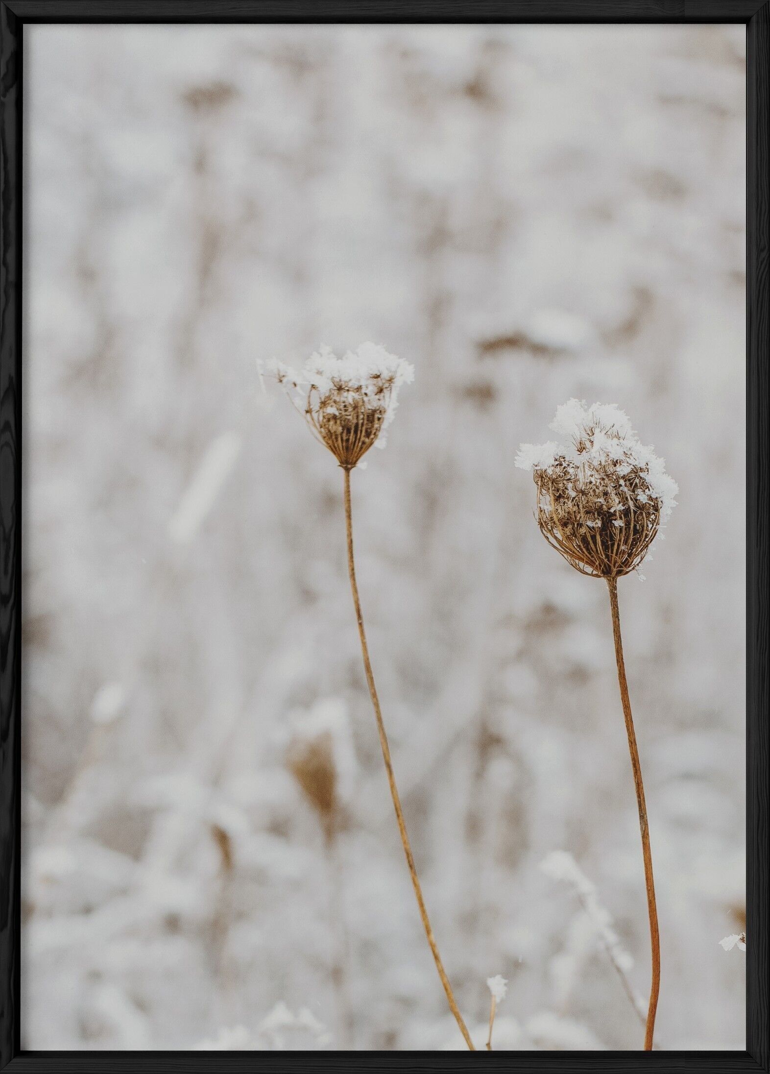 Poster Natura Inverno 3