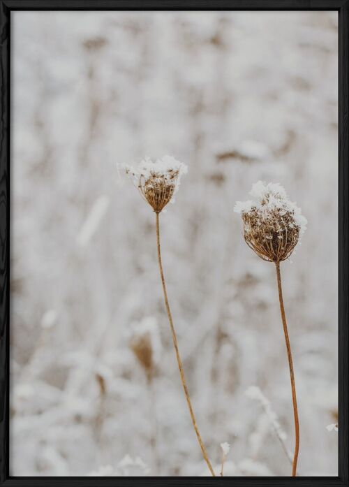 Affiche Nature Winter 3