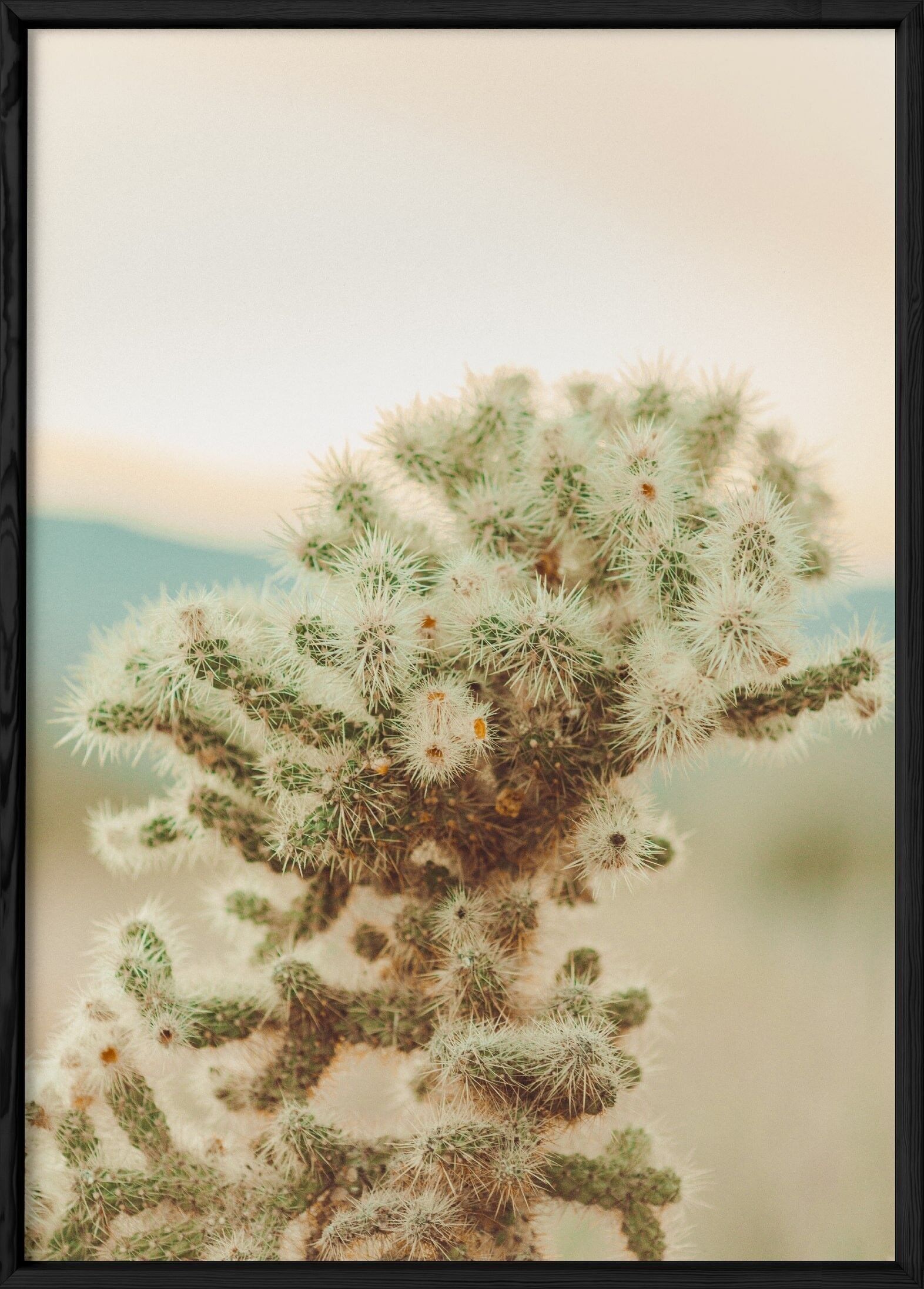 Poster del deserto della natura 2