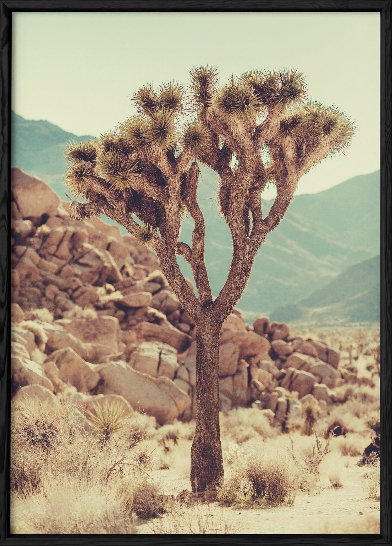 Poster del deserto della natura 3