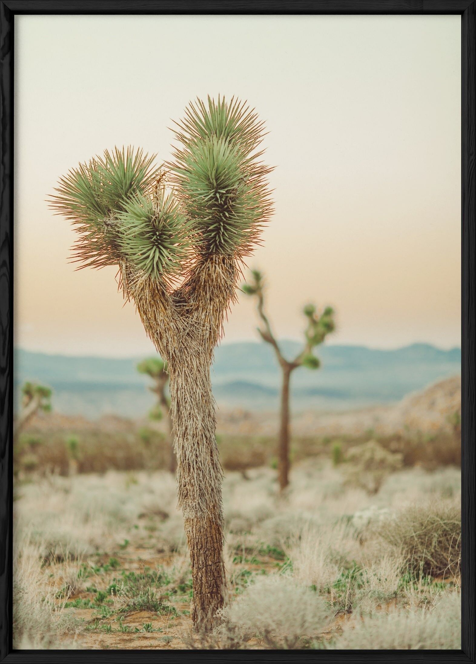 Poster del deserto della natura 4
