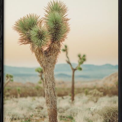 Poster del deserto della natura 4