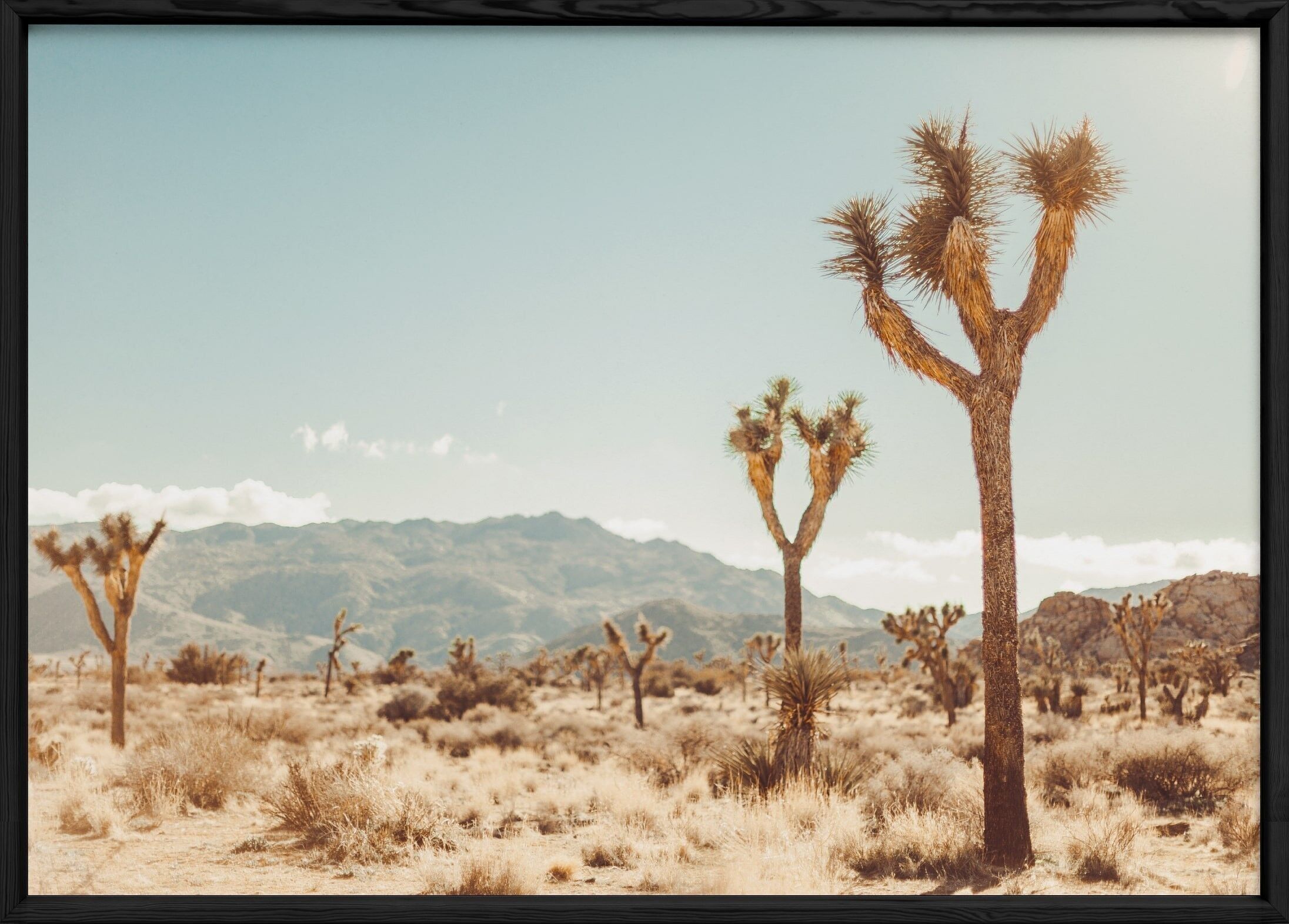 Poster del deserto della natura 5