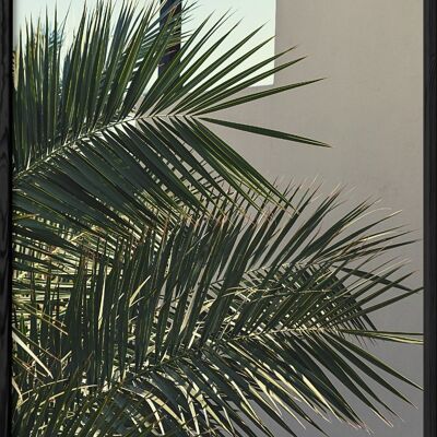 Poster della natura della palma