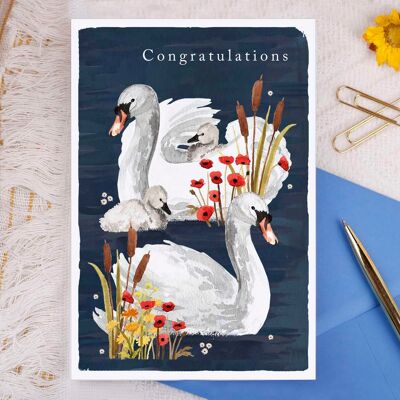 Congratulations New Baby Swans Greeting Card